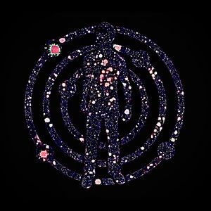 Meet your Posher, Payton